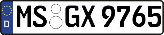 MS-GX9765