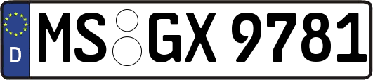 MS-GX9781