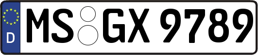 MS-GX9789