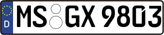 MS-GX9803