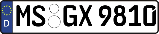 MS-GX9810