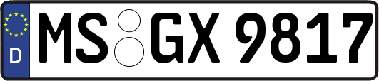 MS-GX9817