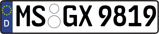 MS-GX9819