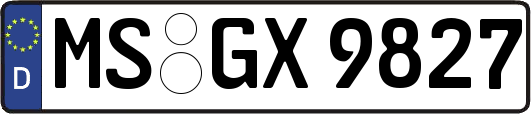 MS-GX9827