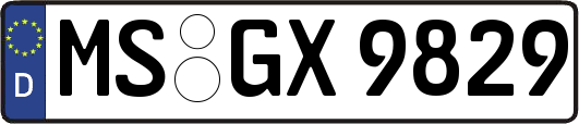 MS-GX9829