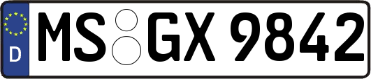 MS-GX9842