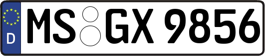 MS-GX9856