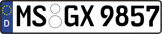 MS-GX9857