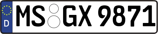 MS-GX9871