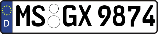 MS-GX9874