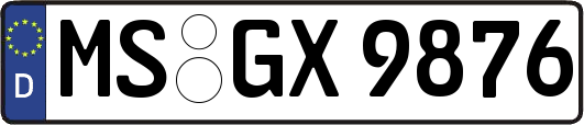 MS-GX9876