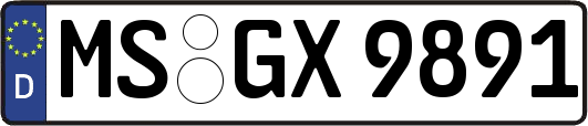 MS-GX9891