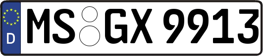 MS-GX9913
