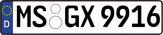 MS-GX9916