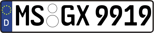 MS-GX9919