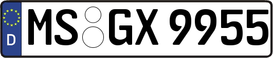 MS-GX9955