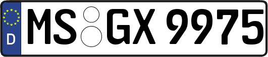 MS-GX9975