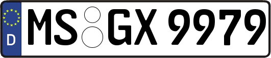 MS-GX9979