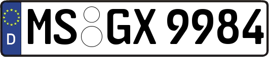 MS-GX9984