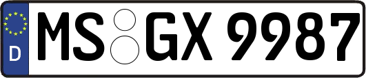 MS-GX9987