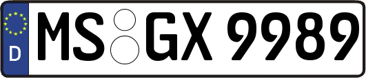MS-GX9989