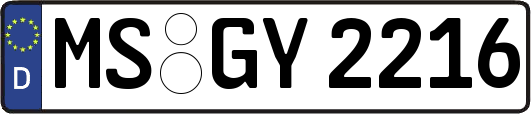 MS-GY2216