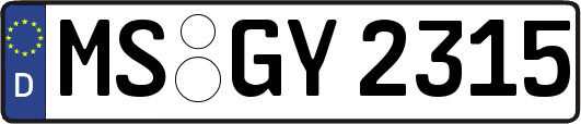 MS-GY2315