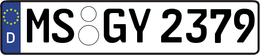 MS-GY2379