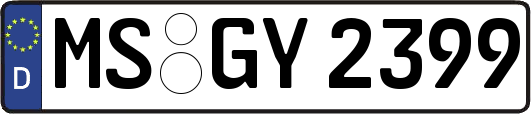 MS-GY2399