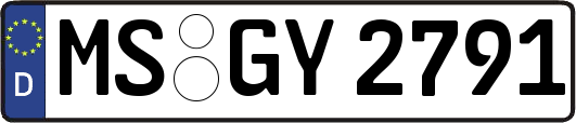 MS-GY2791