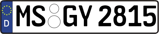 MS-GY2815