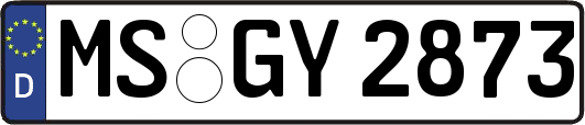 MS-GY2873