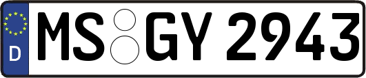MS-GY2943