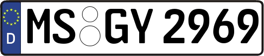 MS-GY2969