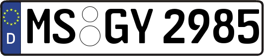 MS-GY2985