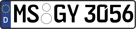 MS-GY3056