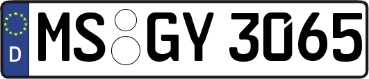 MS-GY3065