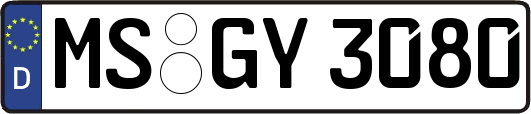 MS-GY3080