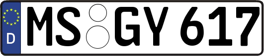 MS-GY617
