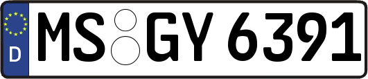 MS-GY6391