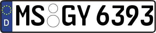 MS-GY6393