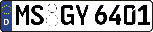 MS-GY6401