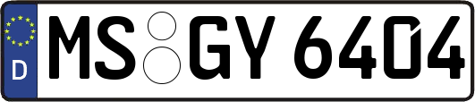 MS-GY6404
