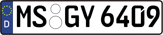 MS-GY6409