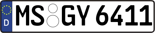 MS-GY6411