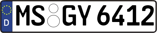 MS-GY6412