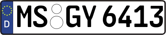MS-GY6413