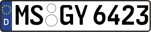 MS-GY6423