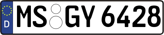 MS-GY6428