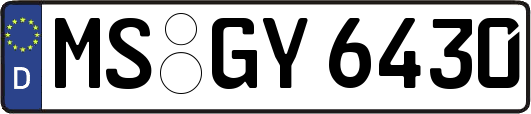 MS-GY6430
